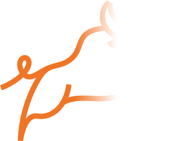 LEAP Studios